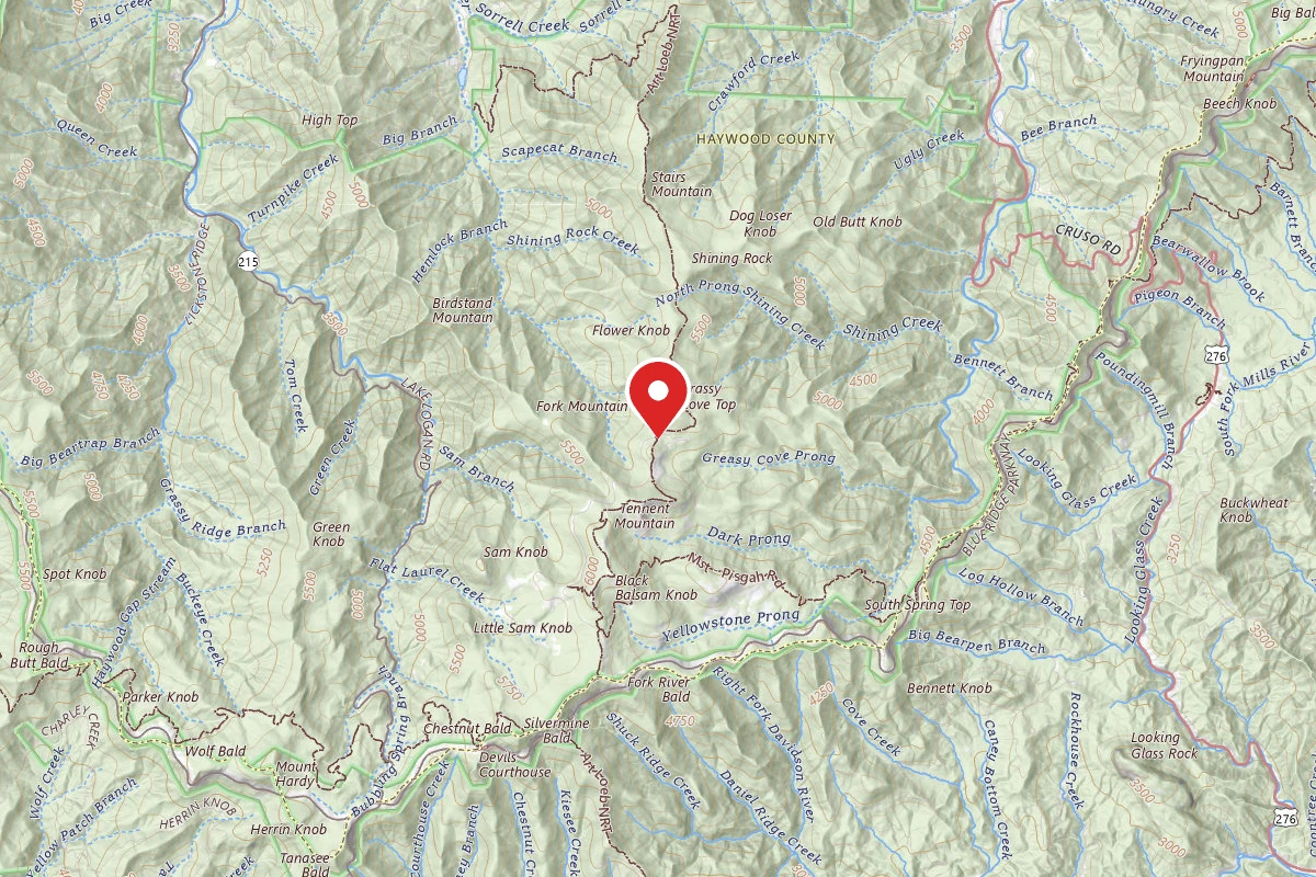 Dispersed Site near 35.3451, -82.8670