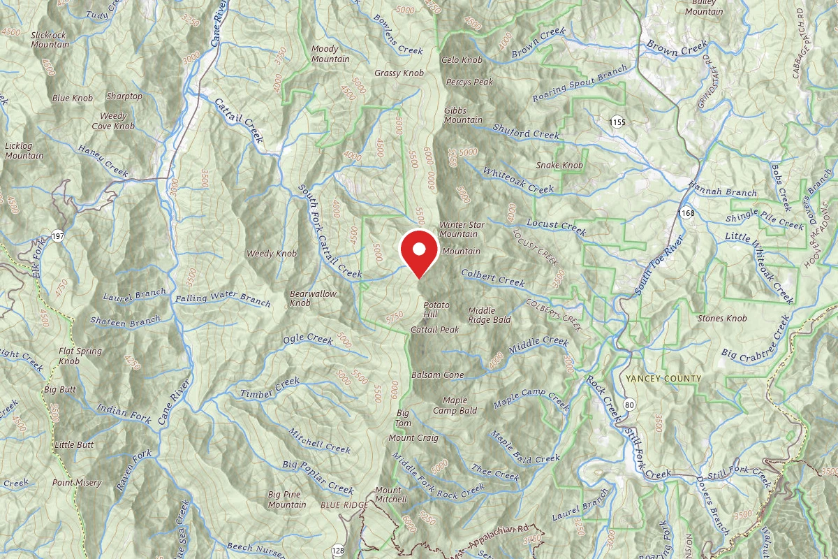 Dispersed Site near 35.8097, -82.2536