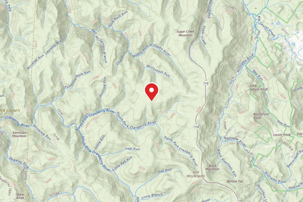 Dispersed Site near 38.2725, -80.2745