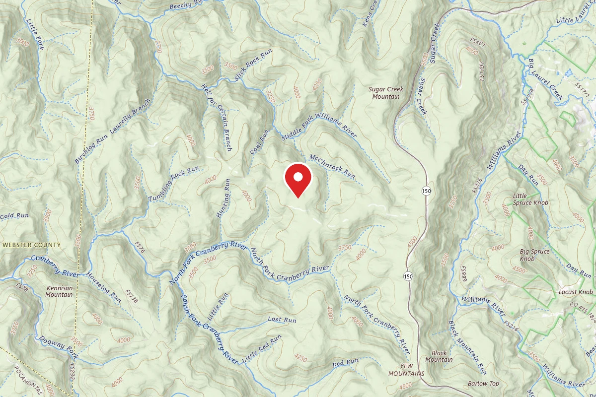 Dispersed Site near 38.2800, -80.2819