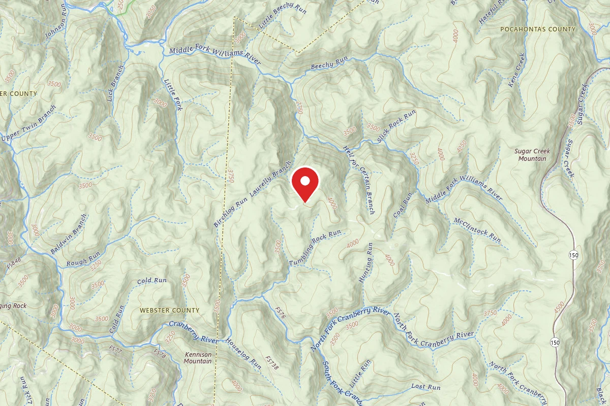 Dispersed Site near 38.2958, -80.3282