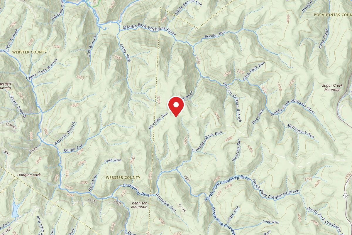 Dispersed Site near 38.2950, -80.3430