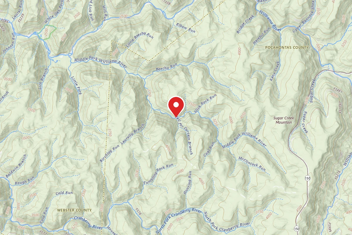 Dispersed Site near 38.3099, -80.3145