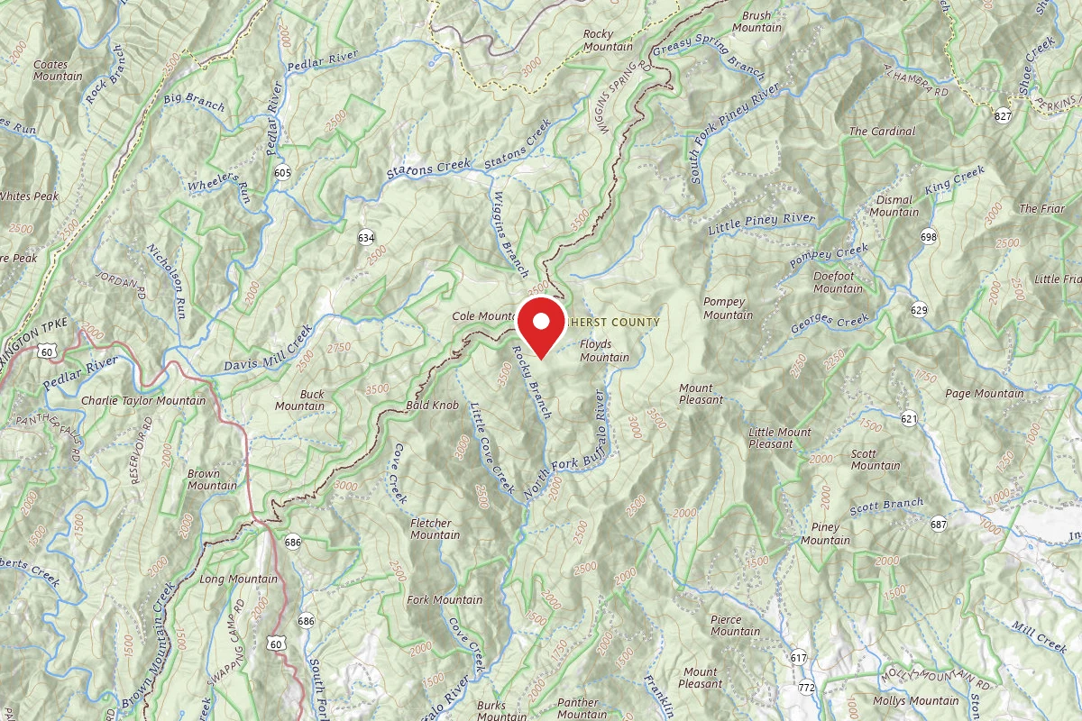 Dispersed Site near 37.7478, -79.1971