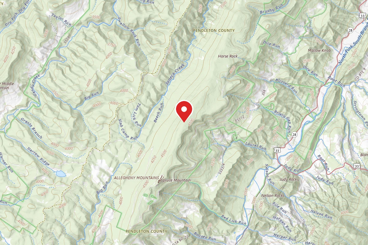 Dispersed Site near 38.7251, -79.5192