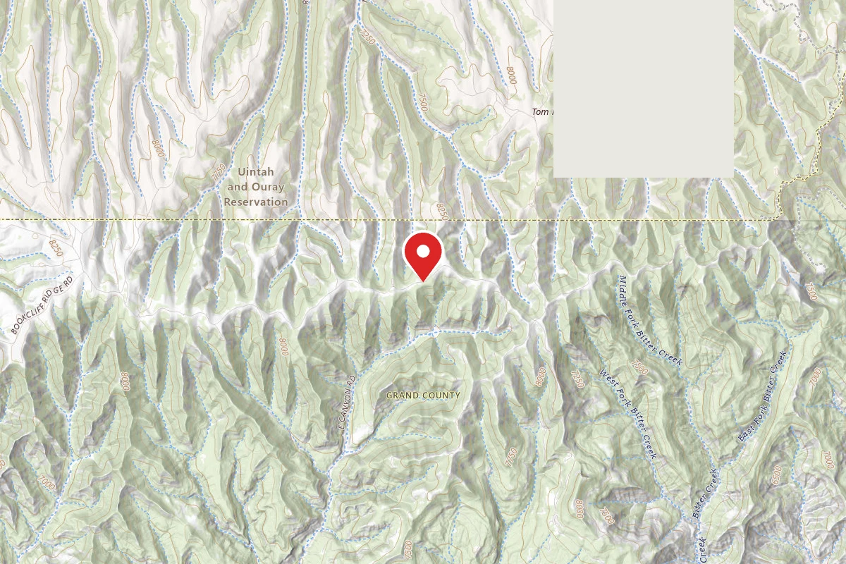 Bear Hunters West Campsite
