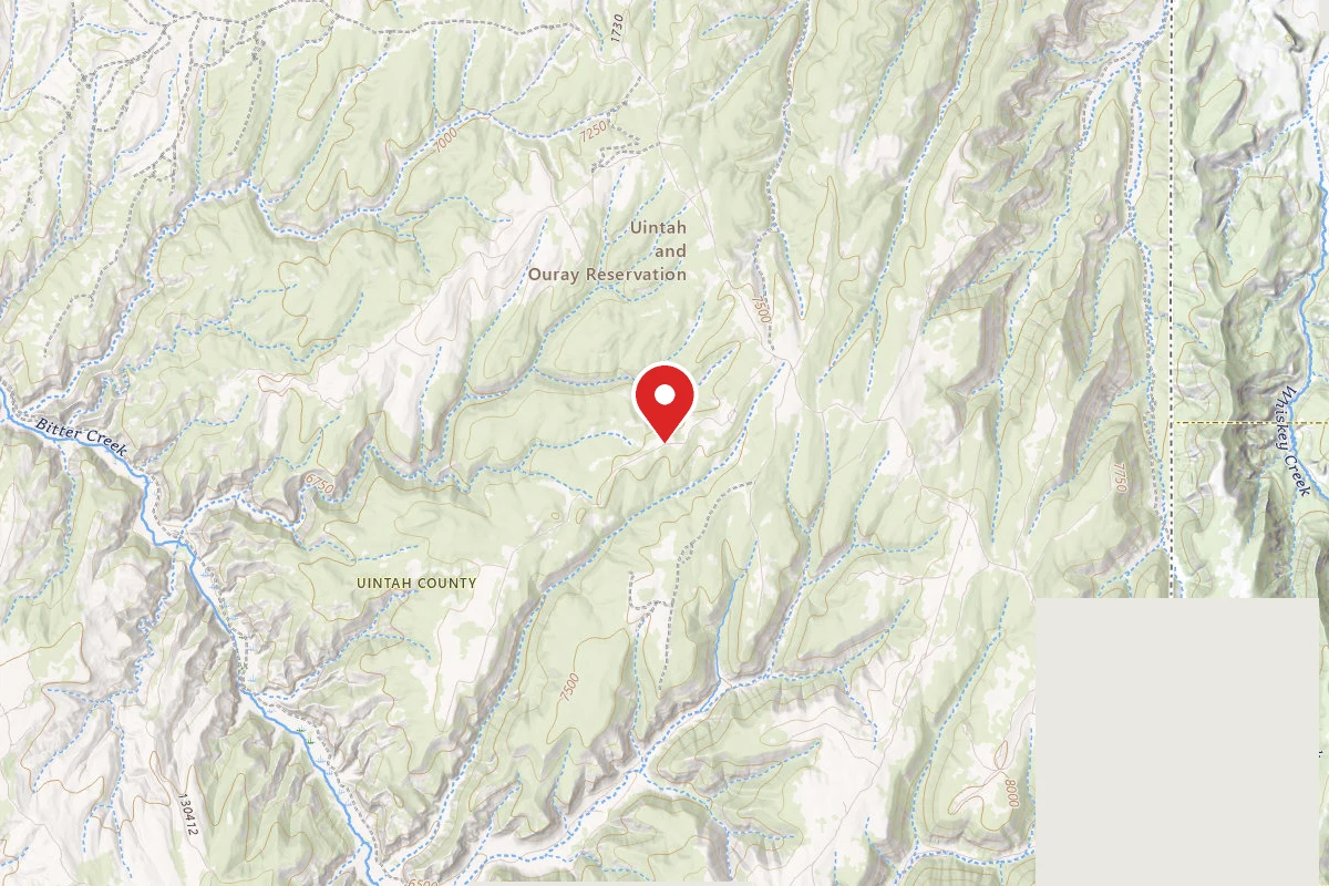 Indian Springs Ridge Campsite