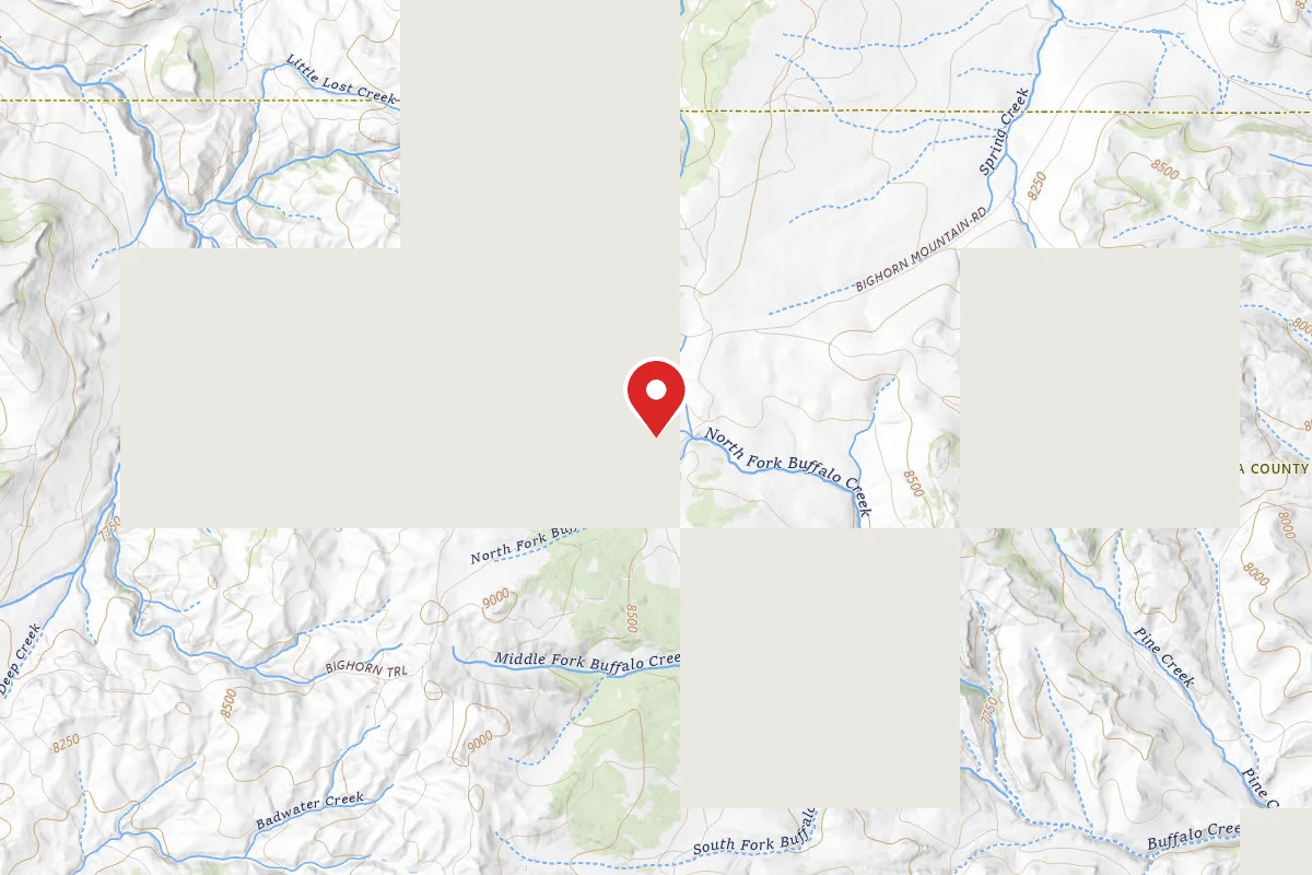 Grave Springs Campsite 4