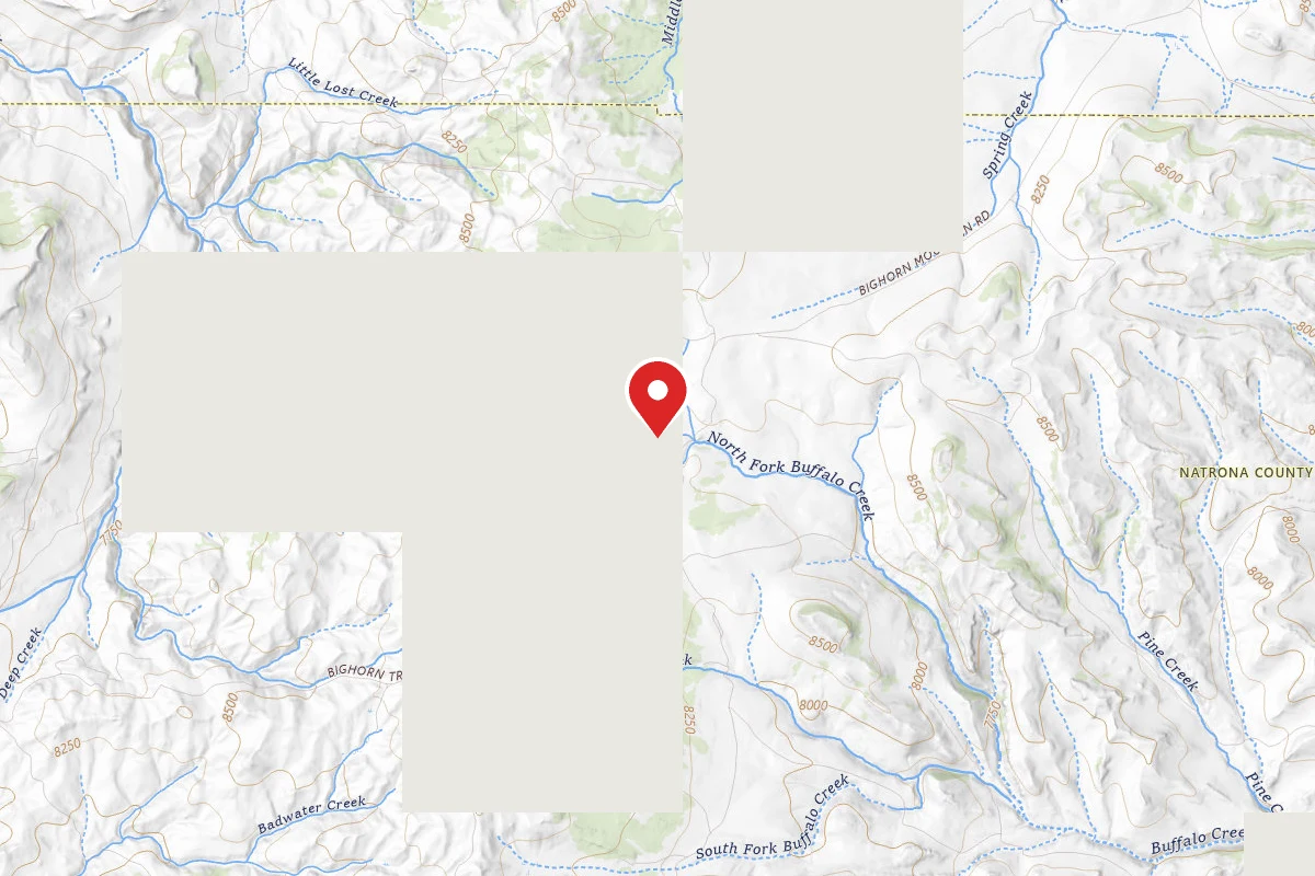 Grave Springs Campsite 5