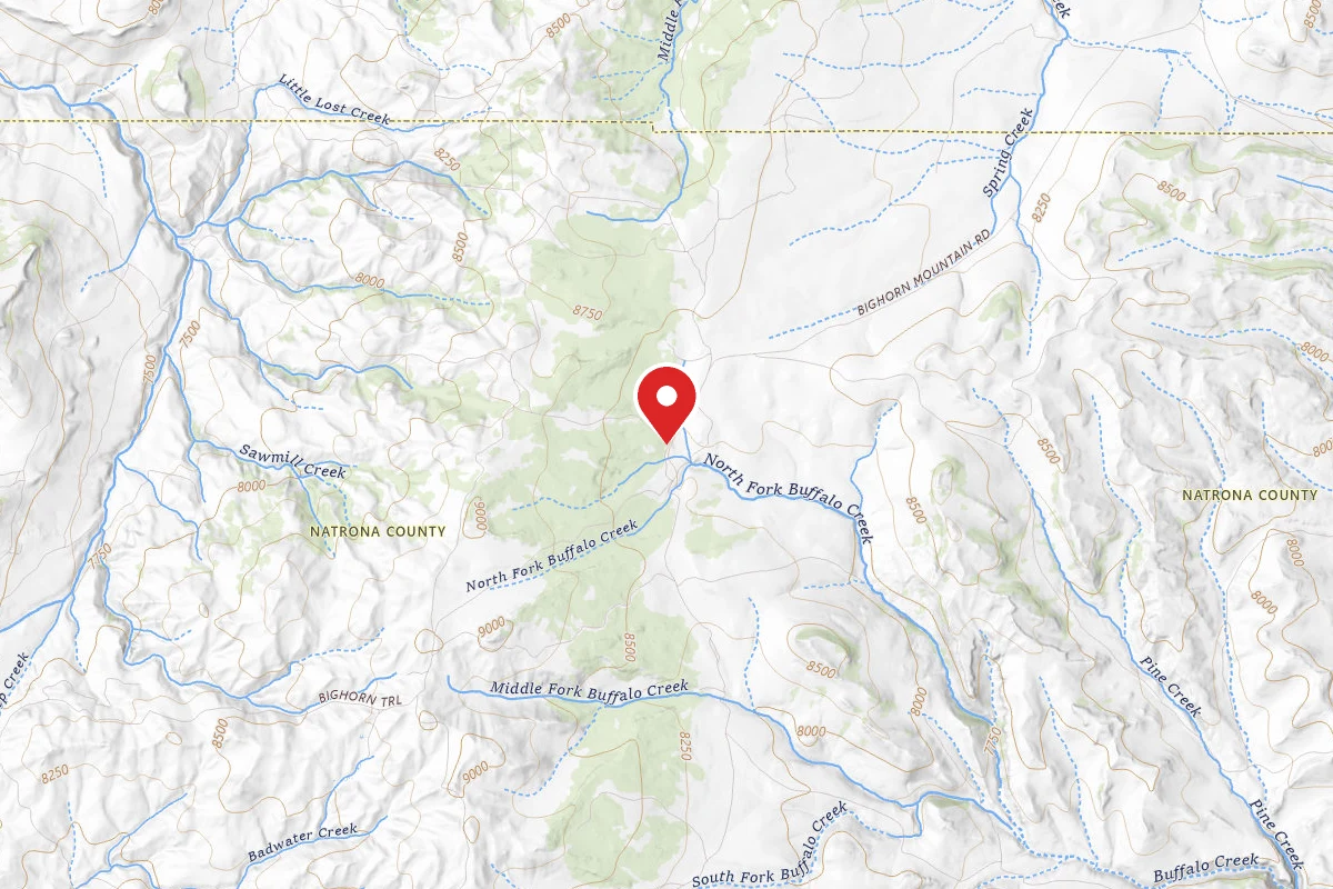 Grave Springs Campsite 10