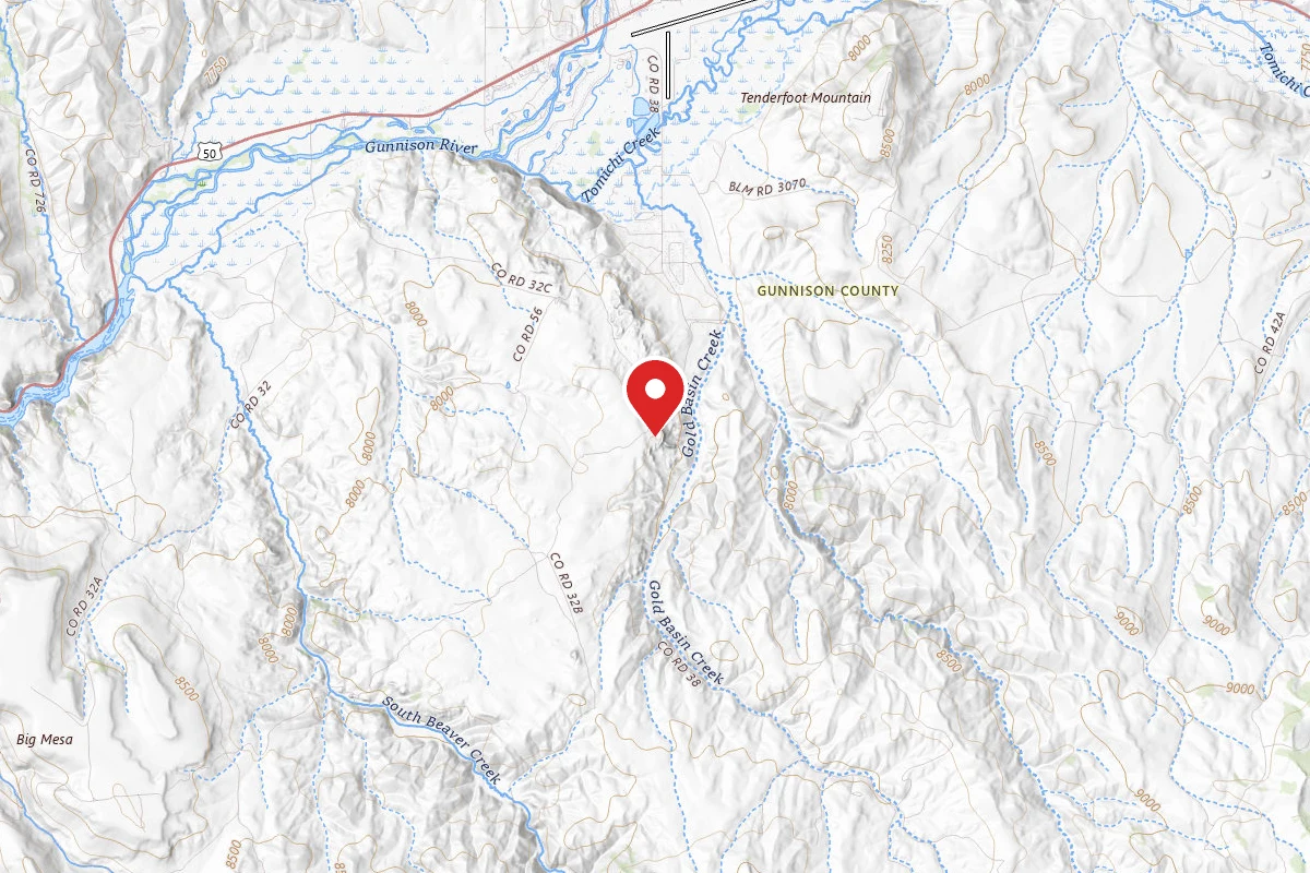 Hartman Dispersed Campsite 16