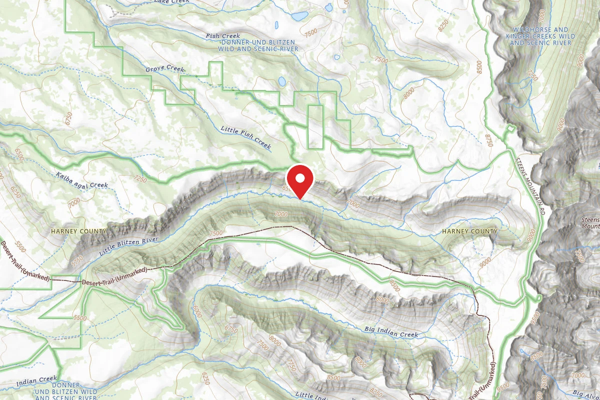 Dispersed Site near 42.6908, -118.6471