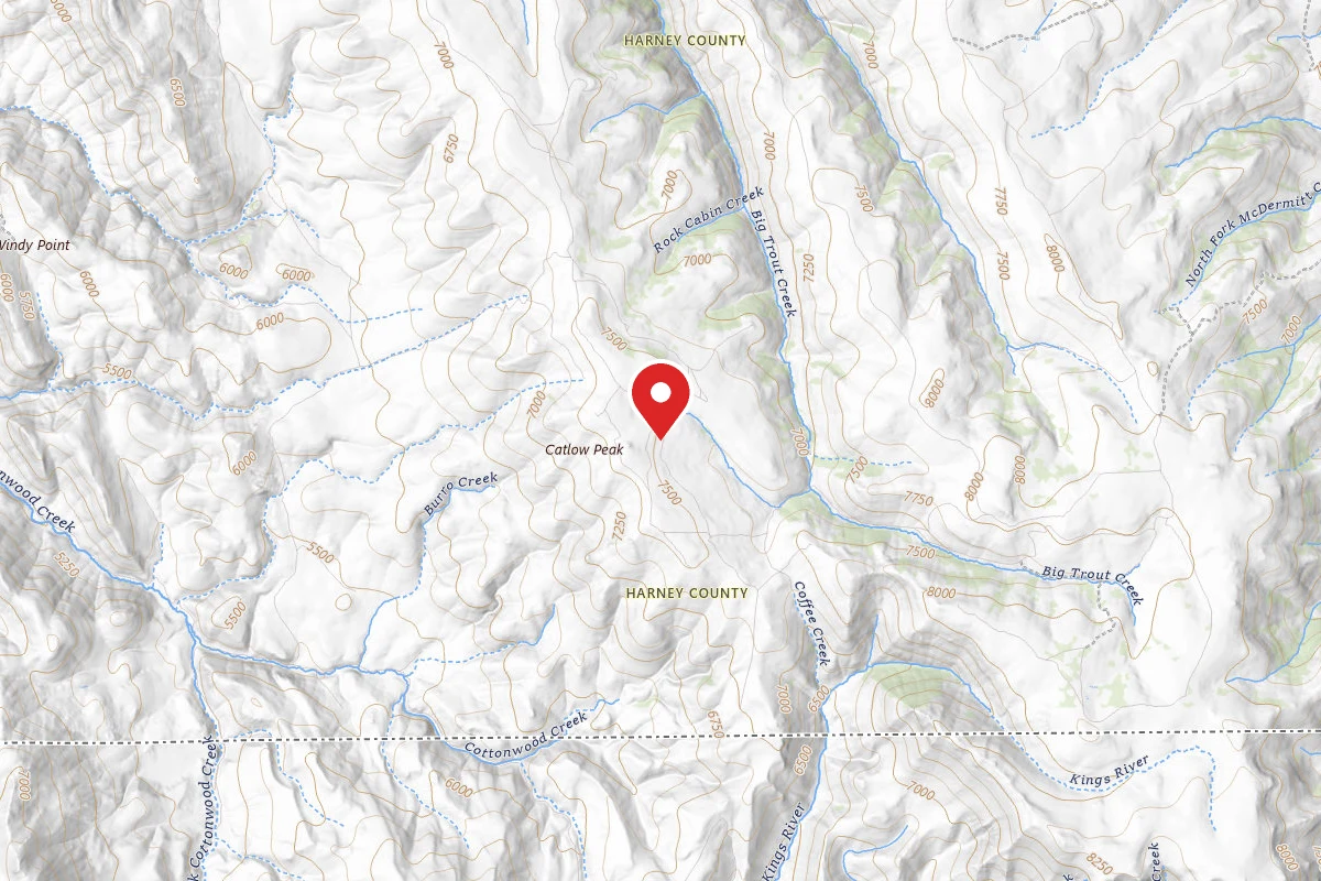 Trout Creek Headwaters Campsite
