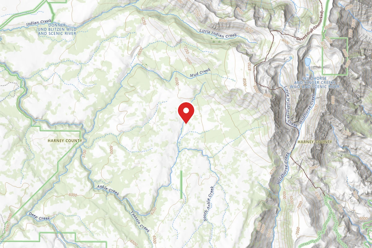 Dispersed Site near 42.6037, -118.6562