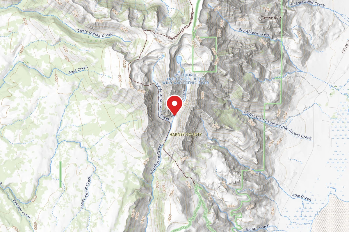 Dispersed Site near 42.6045, -118.5914