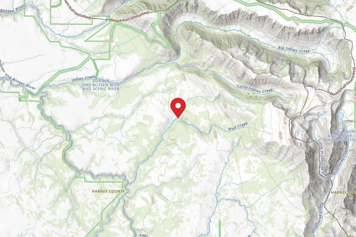 Dispersed Site near 42.6281, -118.6829