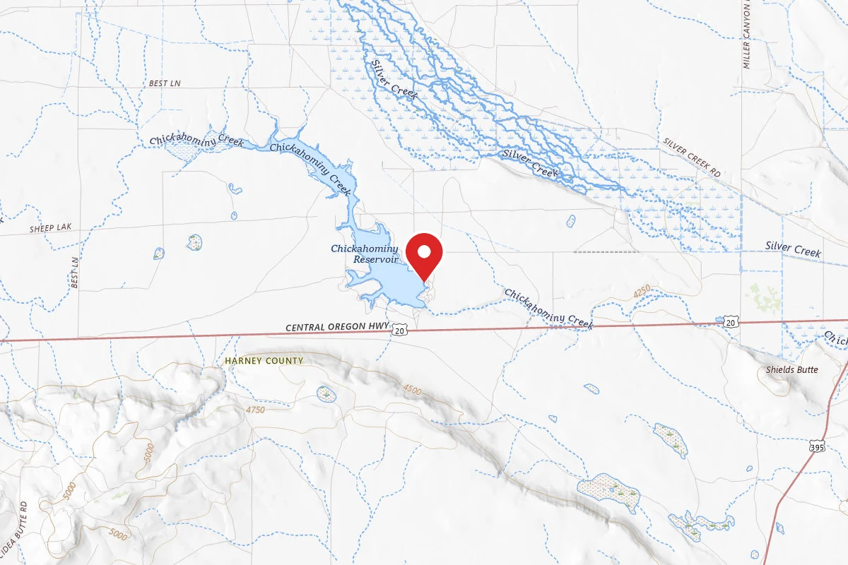 Shoreline Camping (Dispersed)