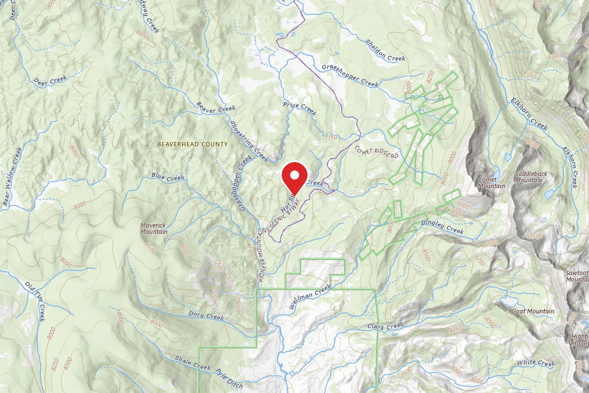 Dispersed Site near 45.4579, -113.1080