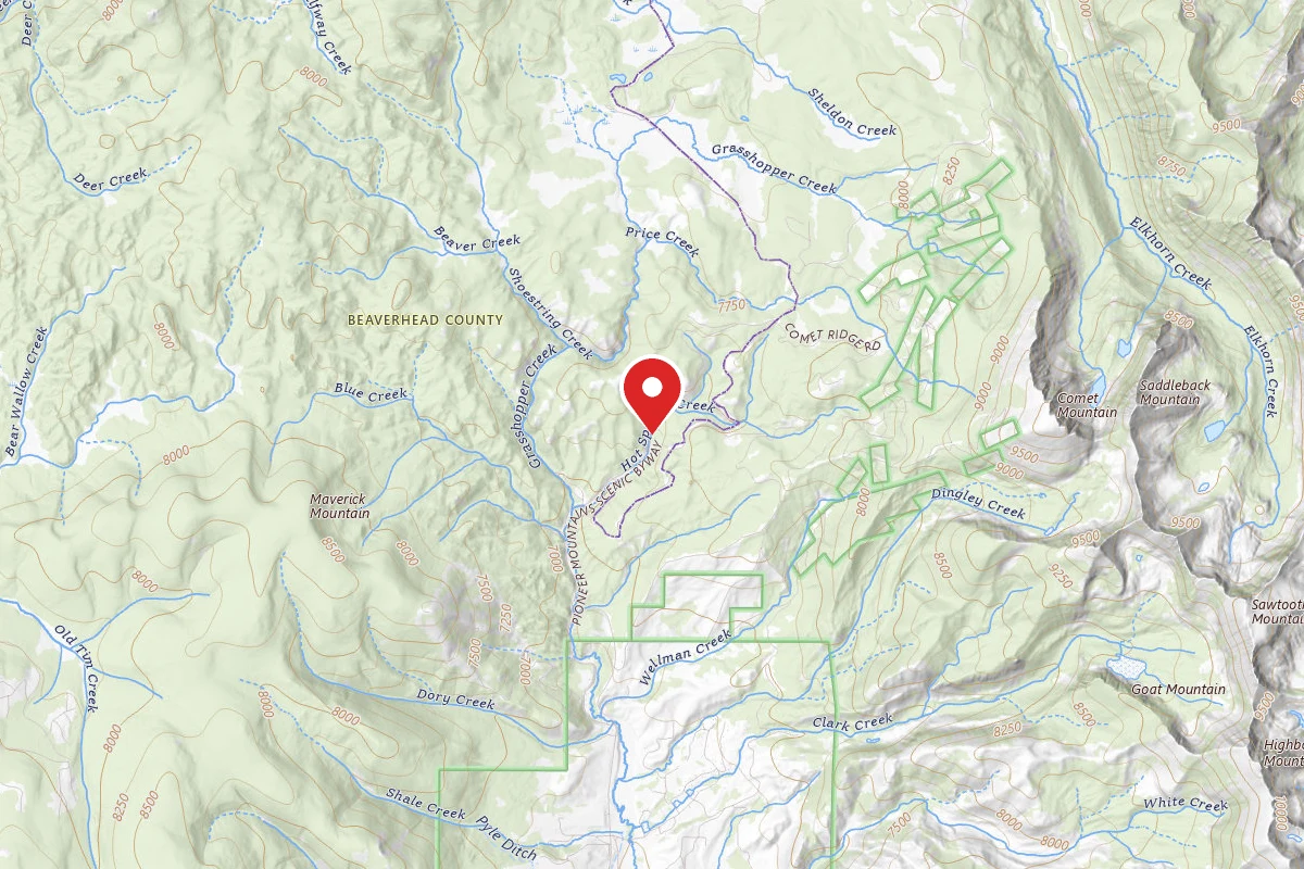 Dispersed Site near 45.4581, -113.1078