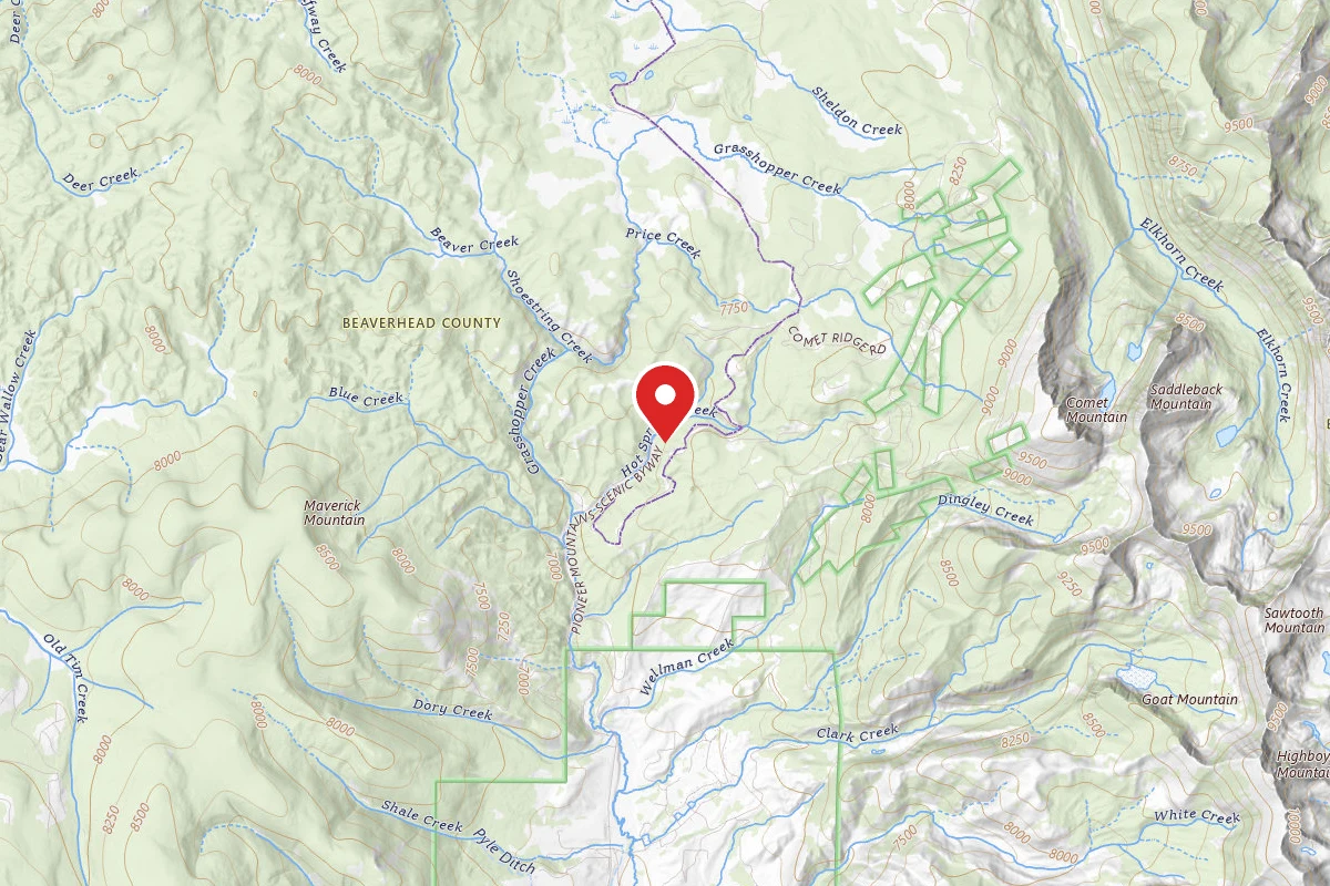 Dispersed Site near 45.4577, -113.1060