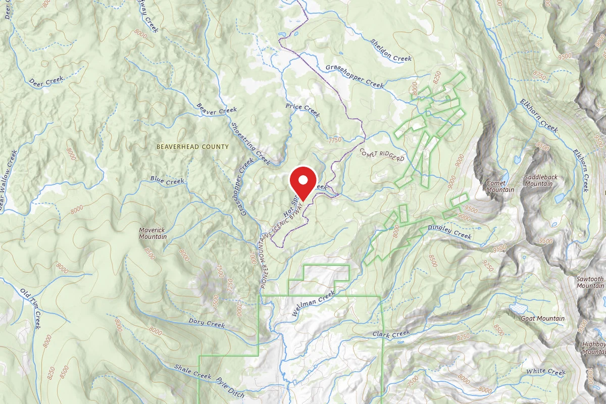 Dispersed Site near 45.4576, -113.1062