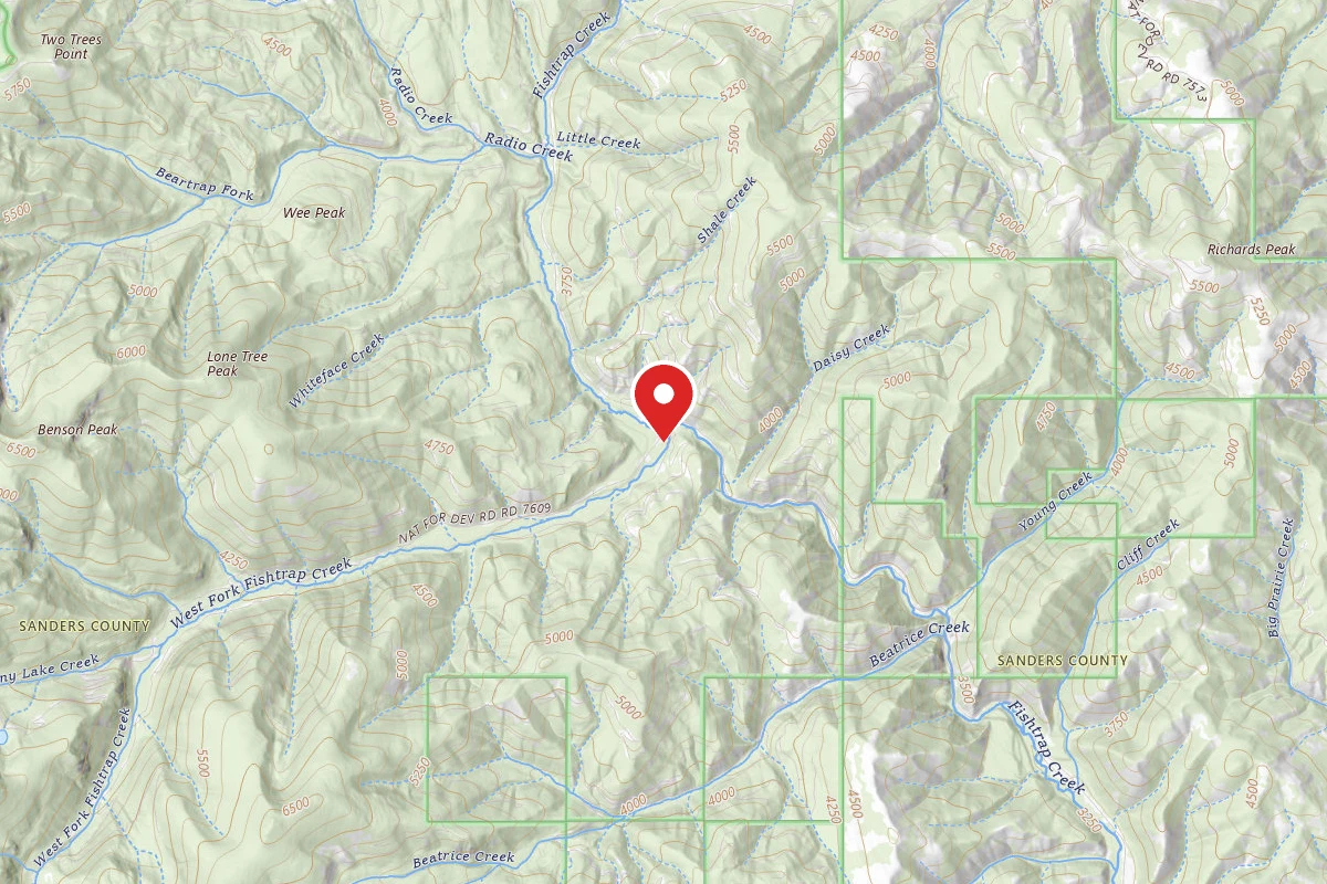 Dispersed Site near 47.8143, -115.1461