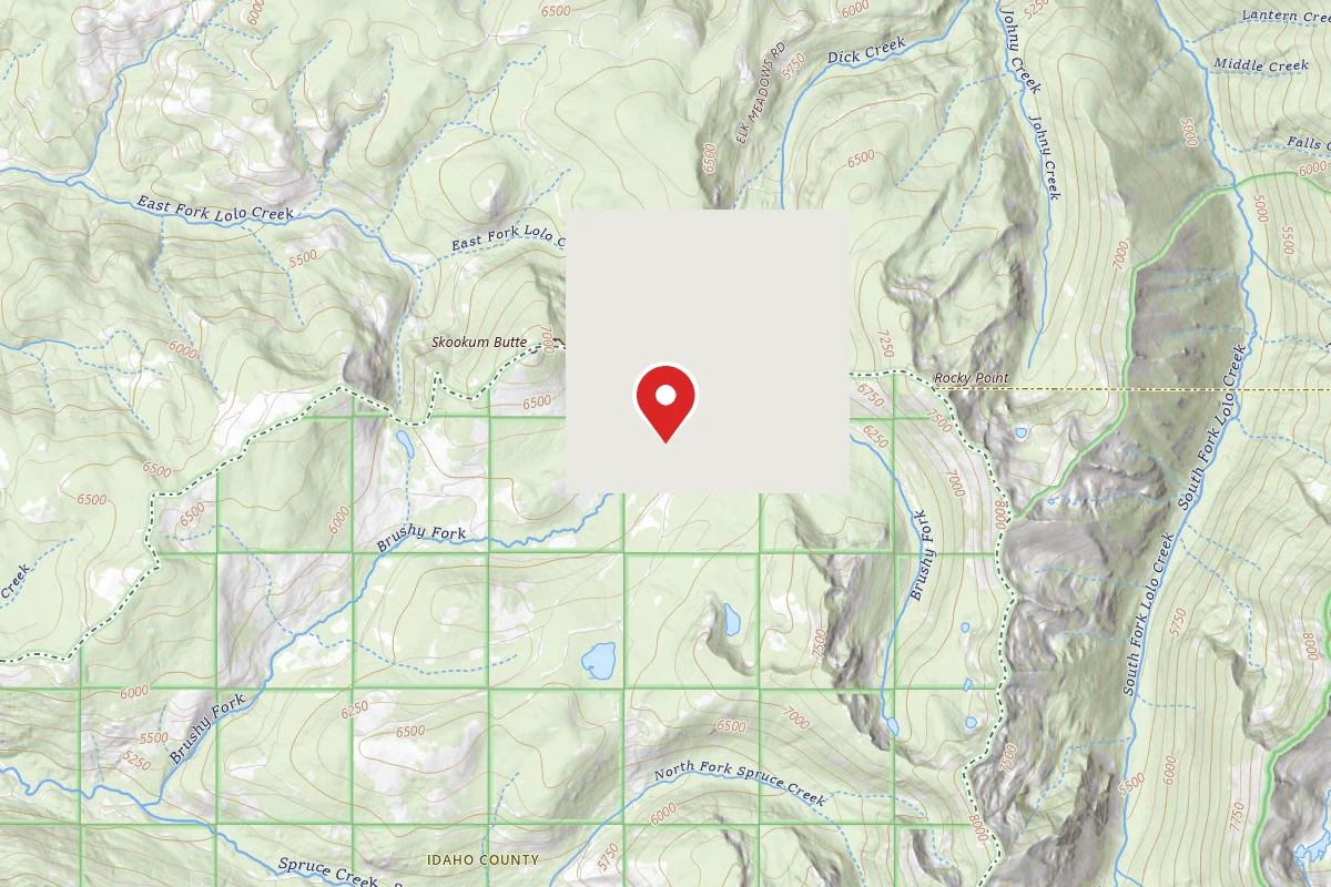 Dispersed Site near 46.6548, -114.3741