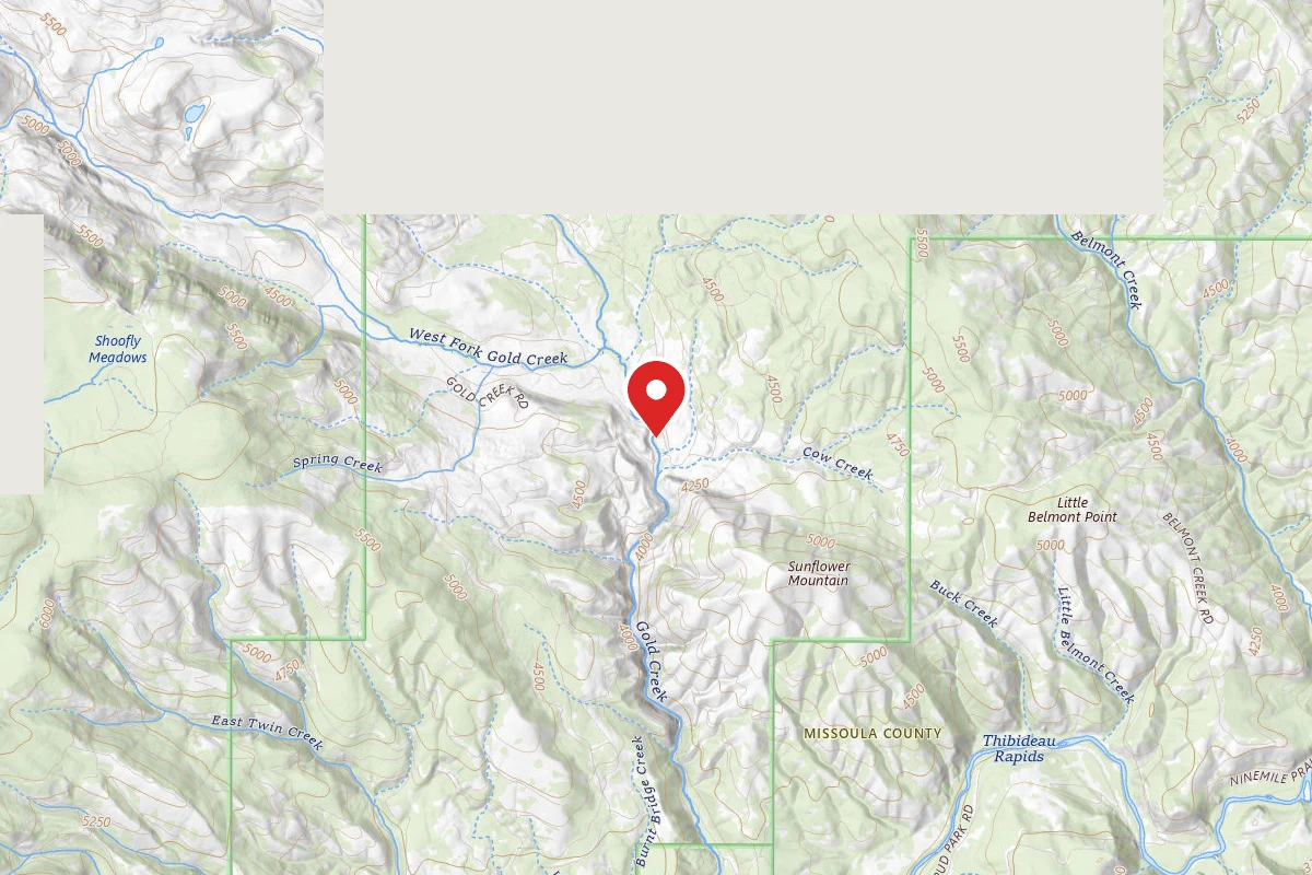 Dispersed Site near 46.9864, -113.6783