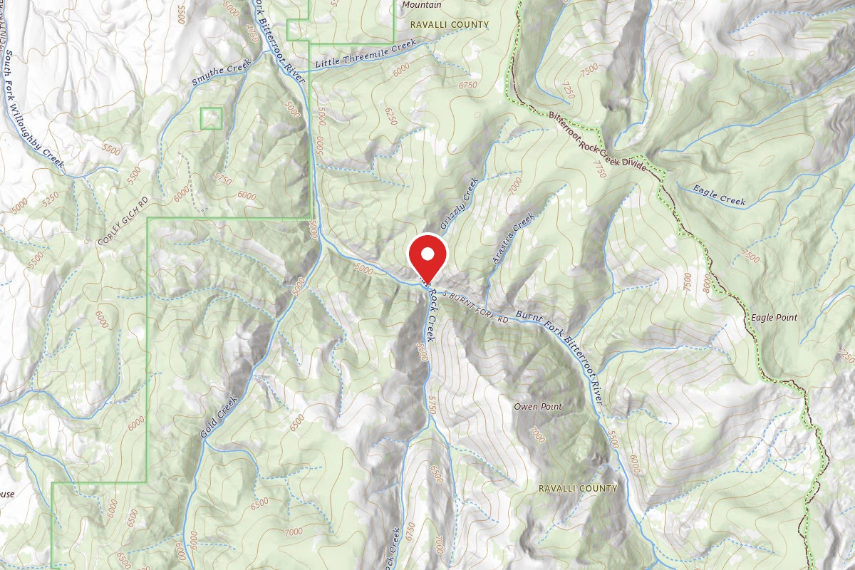 Dispersed Site near 46.3887, -113.8774
