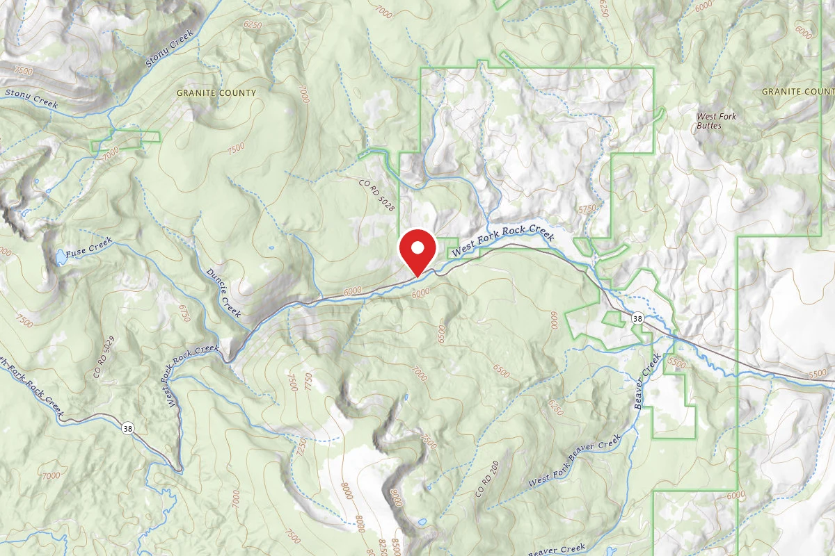 Dispersed Site near 46.2445, -113.6356