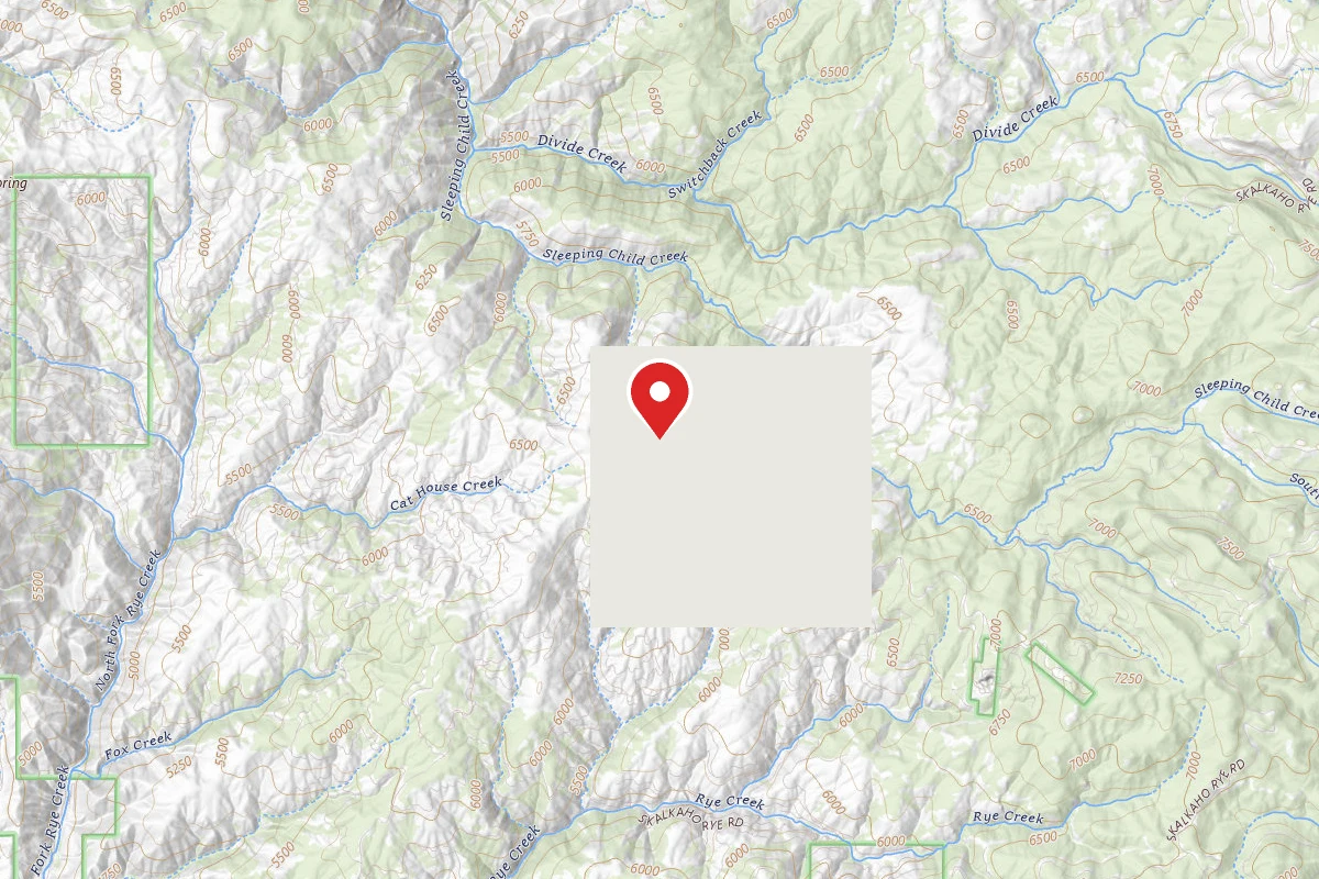 Dispersed Site near 46.0327, -113.9395