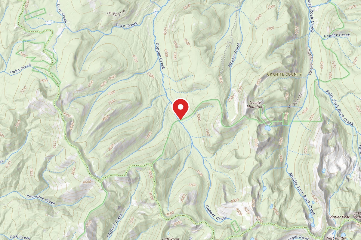 Dispersed Site near 45.9879, -113.5982