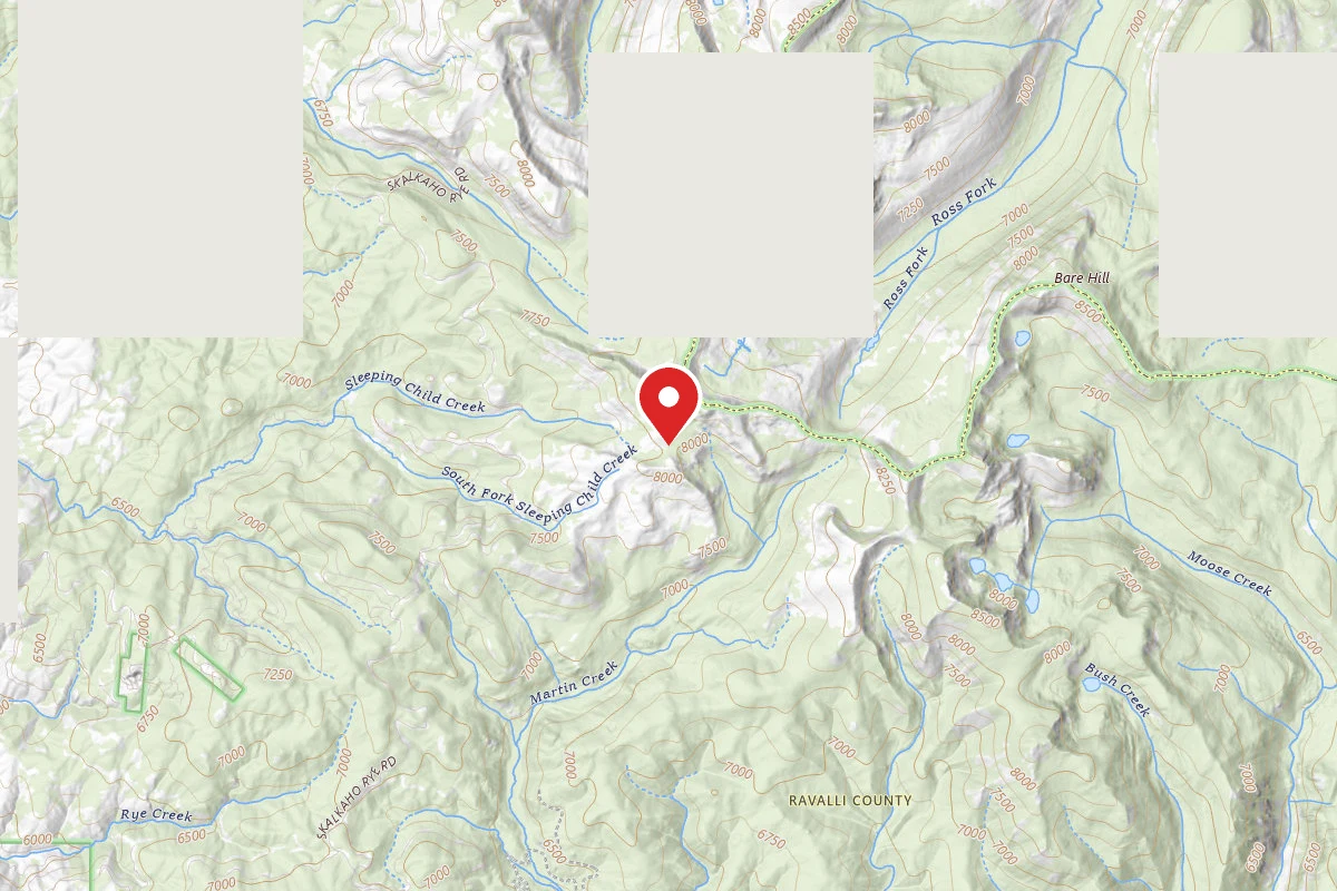 Dispersed Site near 46.0312, -113.8060