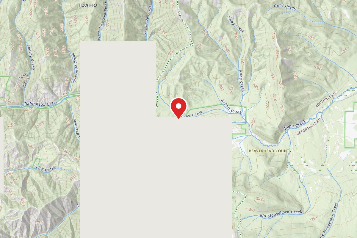 Dispersed Site near 45.5518, -113.8053