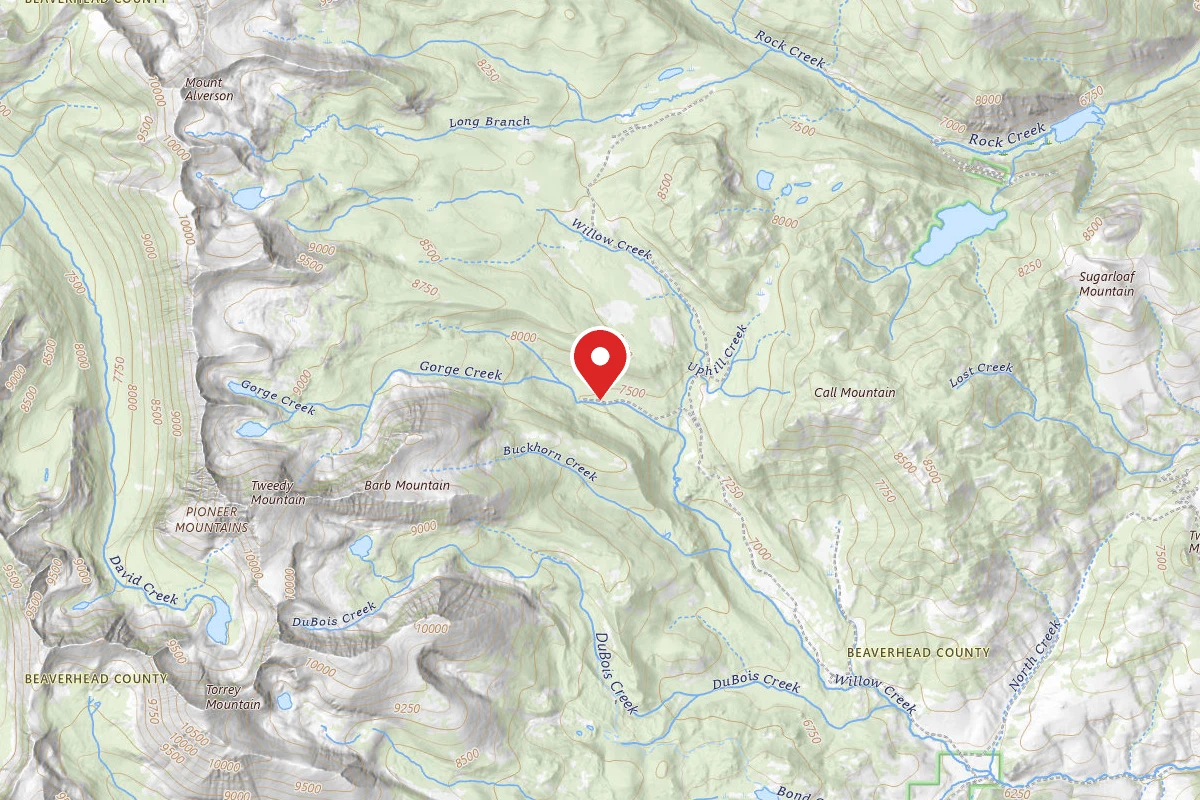 Dispersed Site near 45.4934, -112.9047