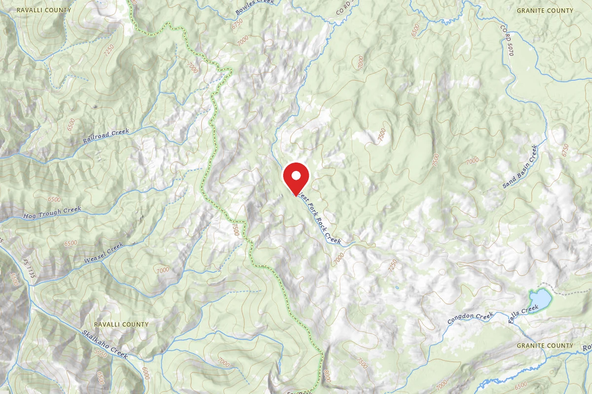 Dispersed Site near 46.1505, -113.7623