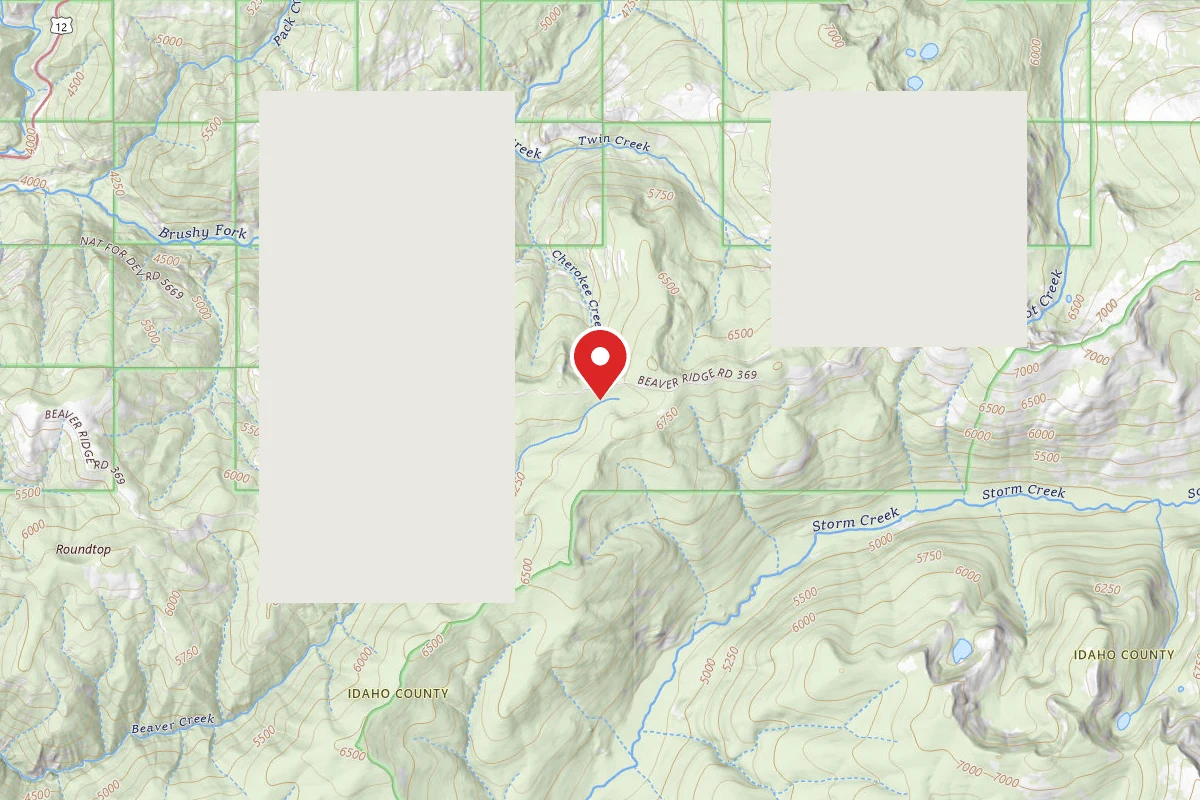 Dispersed Site near 46.5526, -114.5069