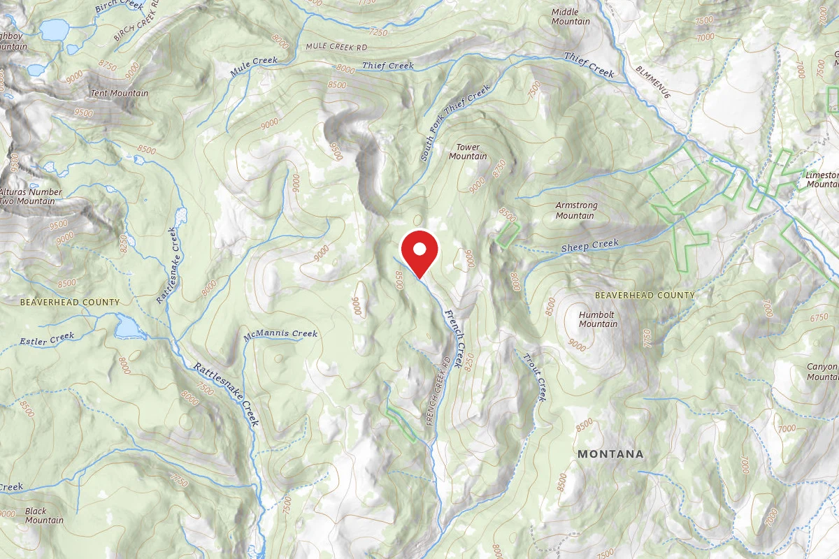 Dispersed Site near 45.3817, -112.9055