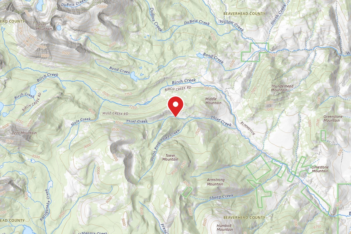 Dispersed Site near 45.4204, -112.8905