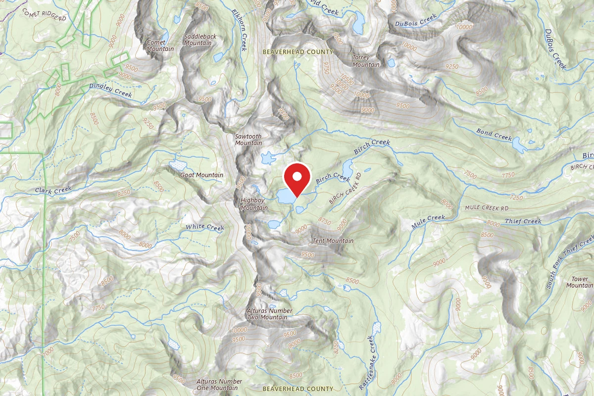 Dispersed Site near 45.4242, -112.9916