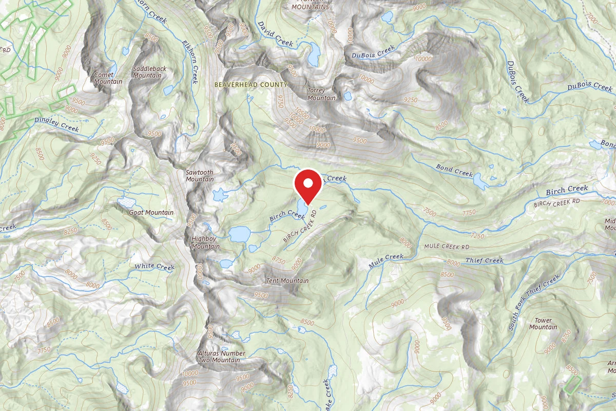 Dispersed Site near 45.4315, -112.9722