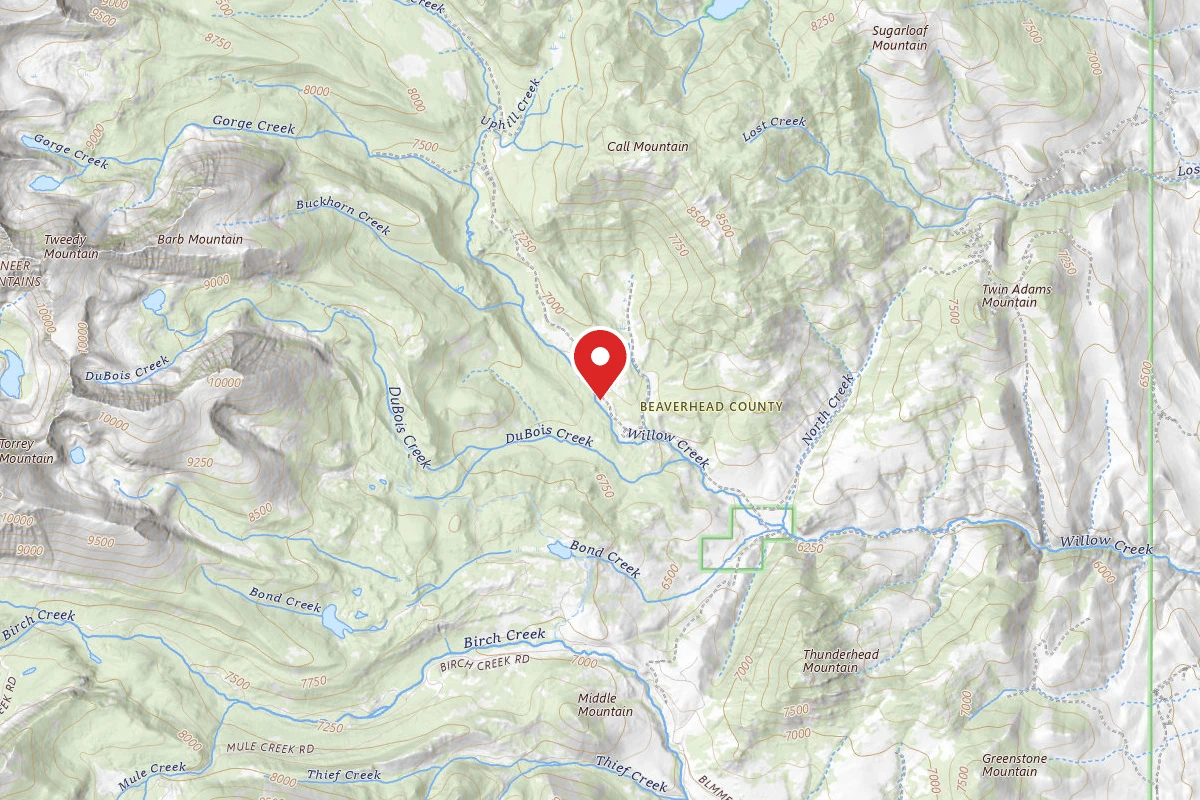 Dispersed Site near 45.4638, -112.8692