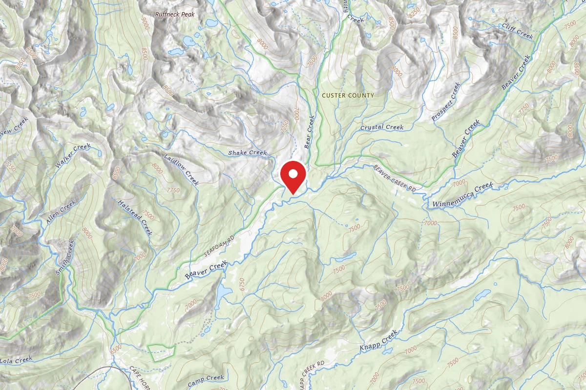 Dispersed Site near 44.4372, -115.1061
