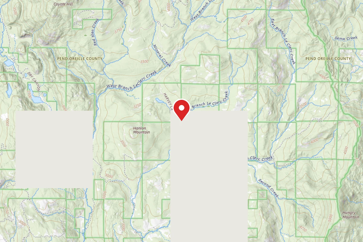 Dispersed Site near 48.6290, -117.2398
