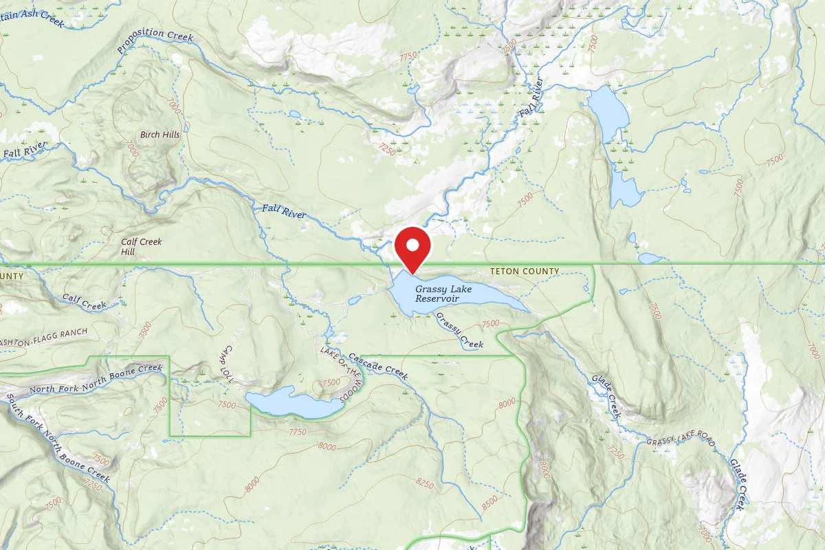Dispersed Site near 44.1307, -110.8149