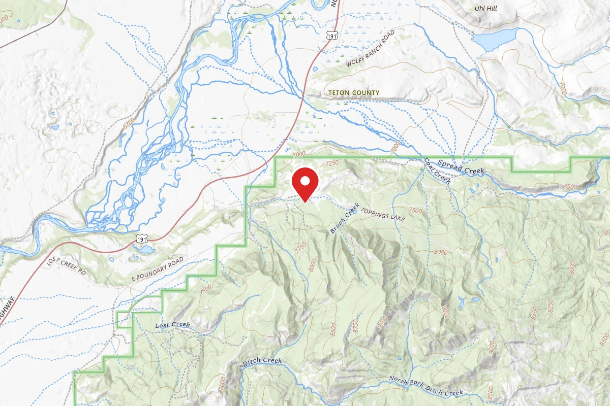 Dispersed Site near 43.7655, -110.5376