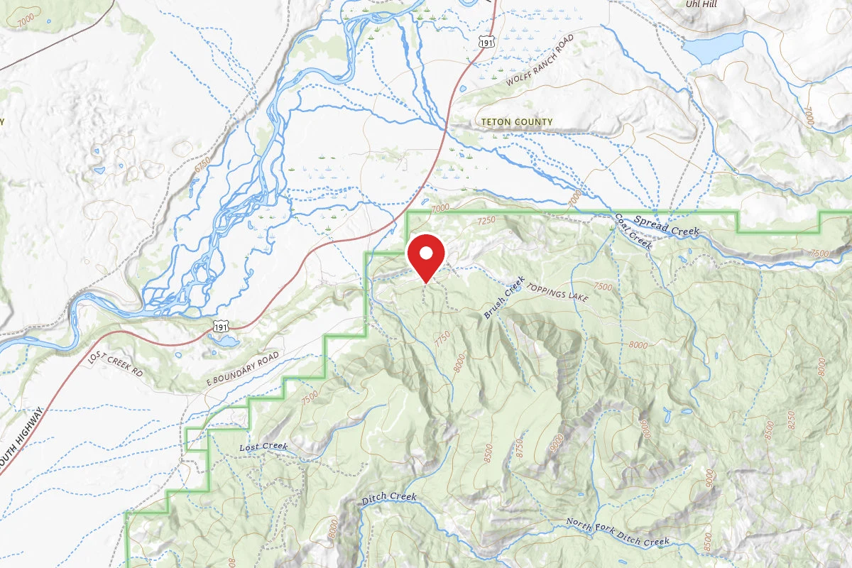Dispersed Site near 43.7641, -110.5431