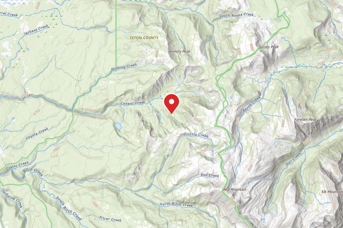 Dispersed Site near 44.0119, -110.9021