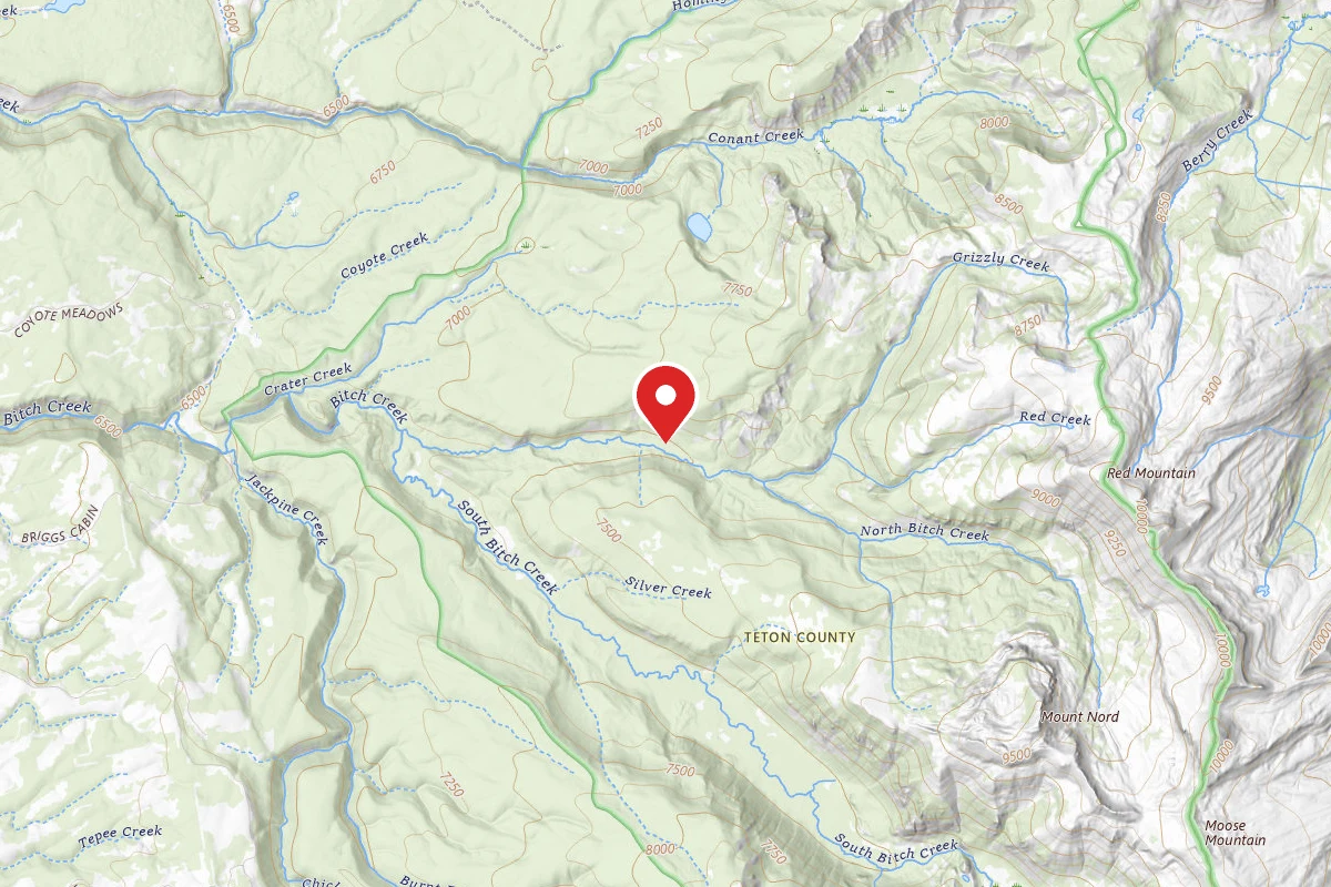 Dispersed Site near 43.9825, -110.9395
