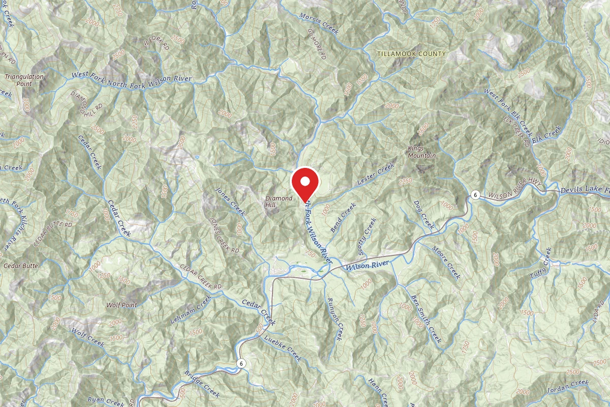 Tillamook State Forest Diamond Mill OHV Campground & Staging Area